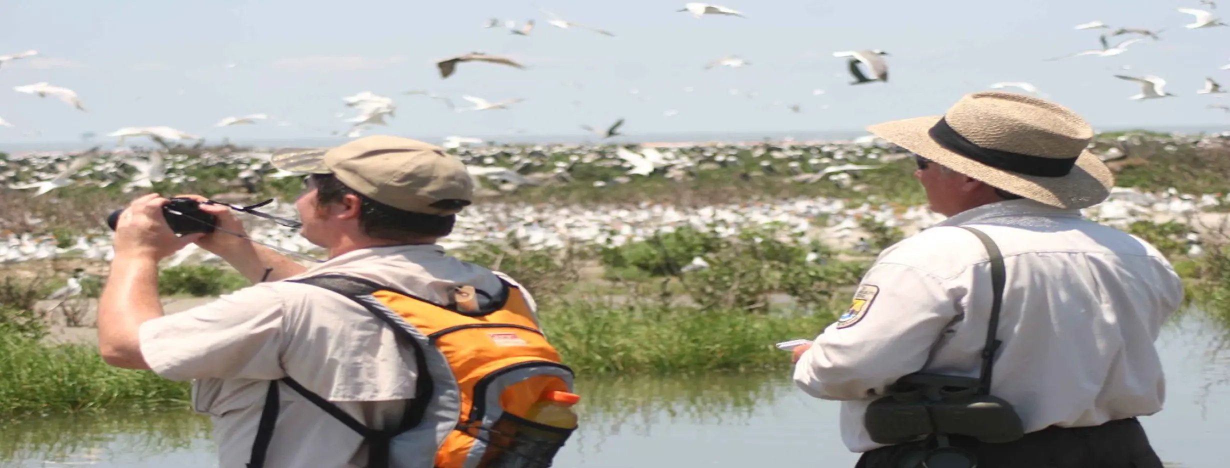 Image for Yarmouk River Bird Watching